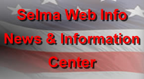 Web Net Info